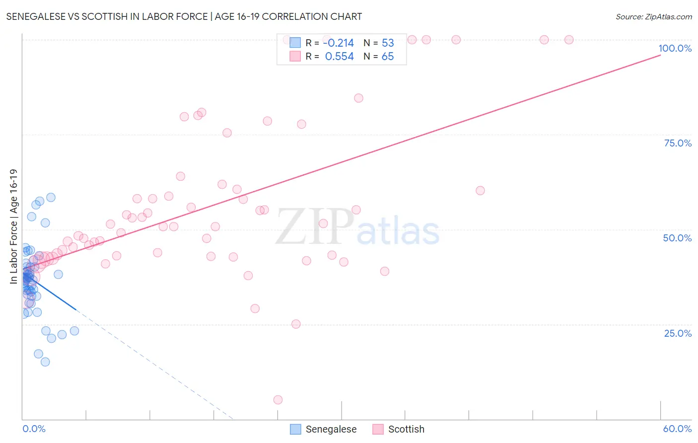 Senegalese vs Scottish In Labor Force | Age 16-19