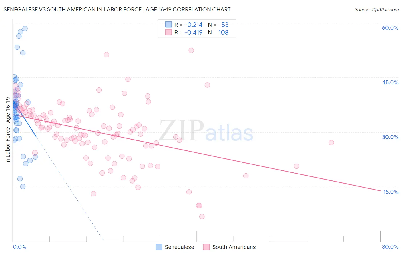 Senegalese vs South American In Labor Force | Age 16-19