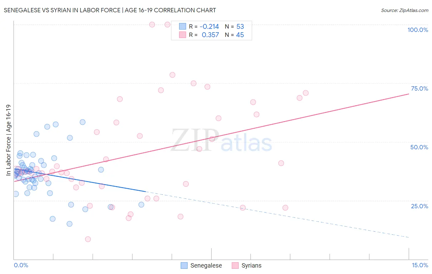 Senegalese vs Syrian In Labor Force | Age 16-19