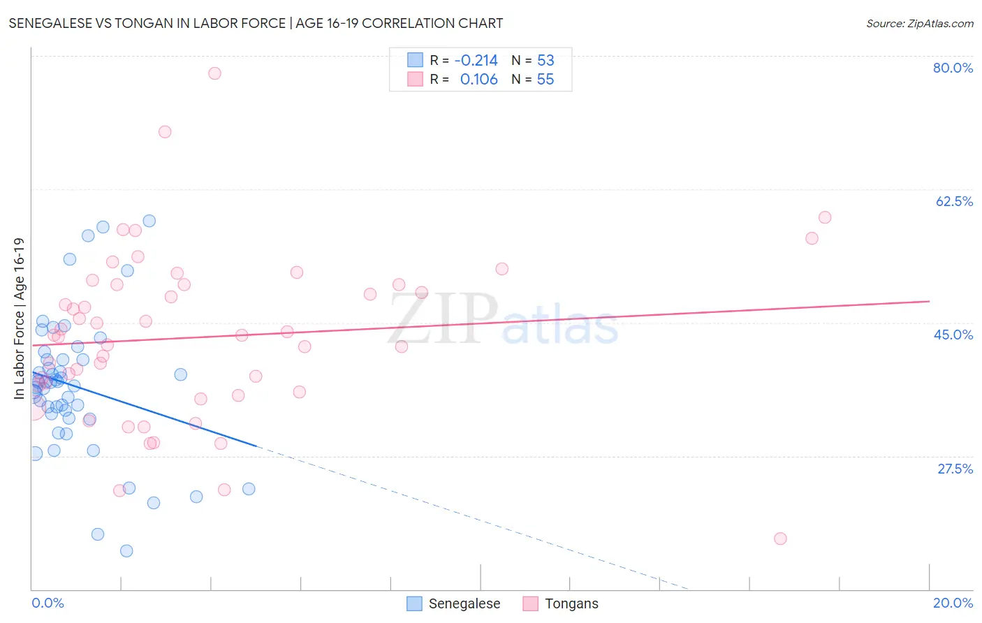 Senegalese vs Tongan In Labor Force | Age 16-19