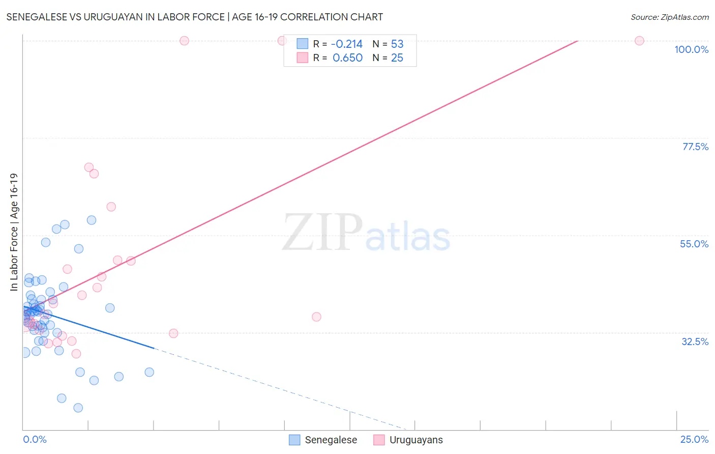 Senegalese vs Uruguayan In Labor Force | Age 16-19
