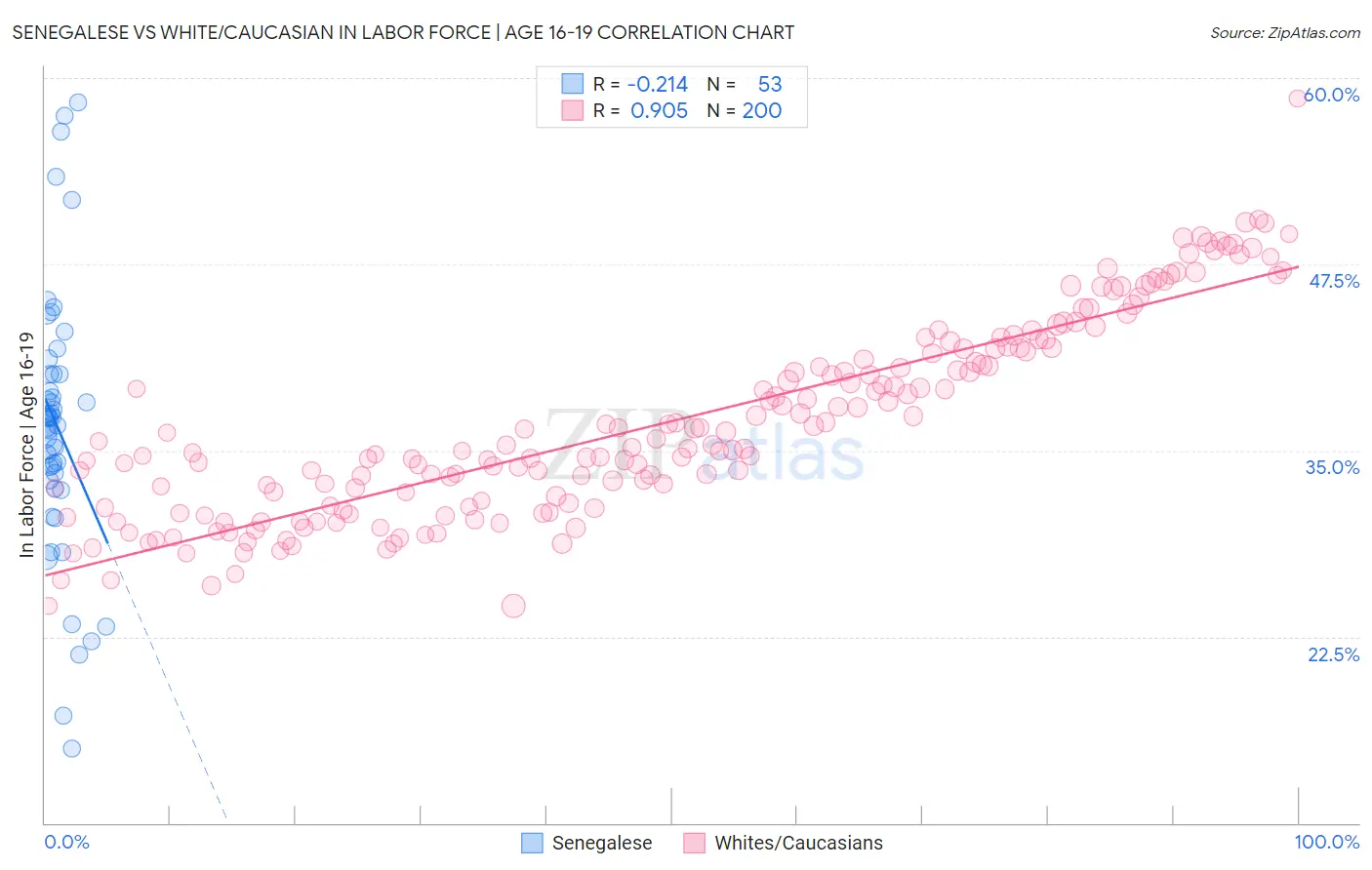 Senegalese vs White/Caucasian In Labor Force | Age 16-19