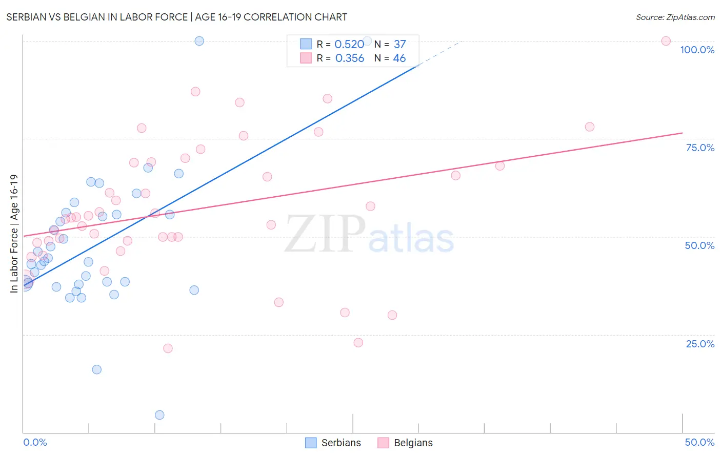 Serbian vs Belgian In Labor Force | Age 16-19