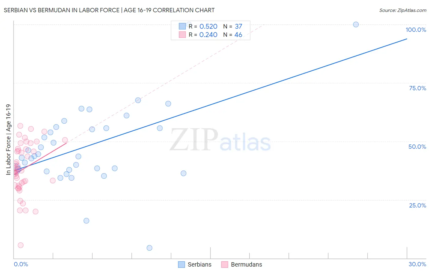 Serbian vs Bermudan In Labor Force | Age 16-19
