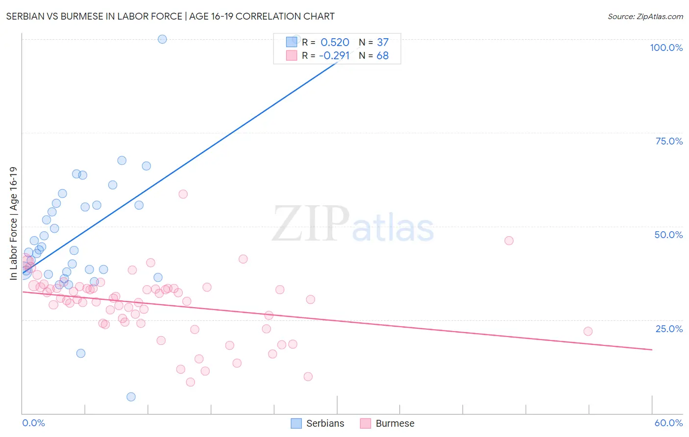 Serbian vs Burmese In Labor Force | Age 16-19