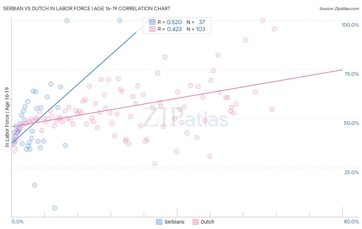 Serbian vs Dutch In Labor Force | Age 16-19