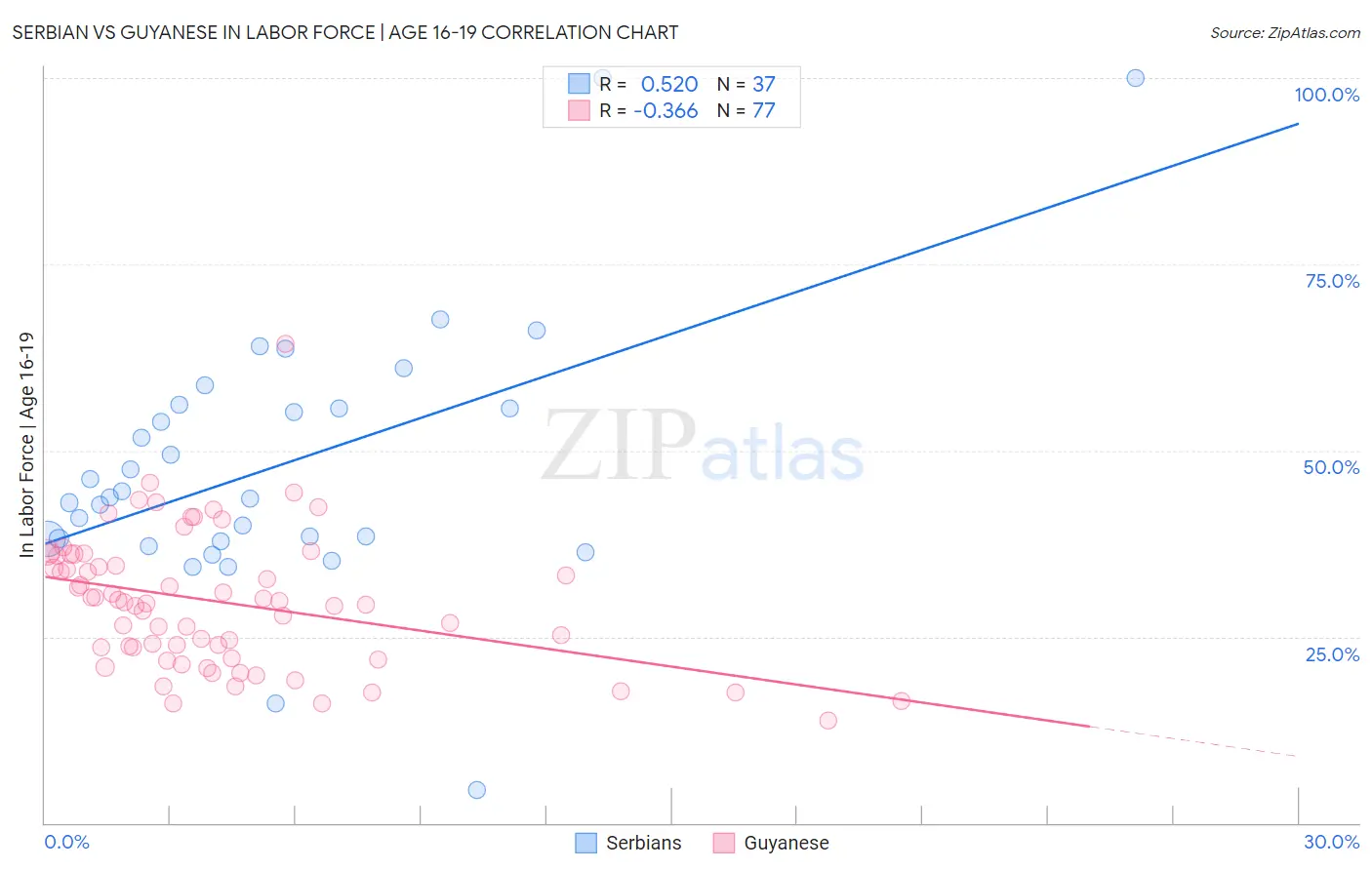 Serbian vs Guyanese In Labor Force | Age 16-19