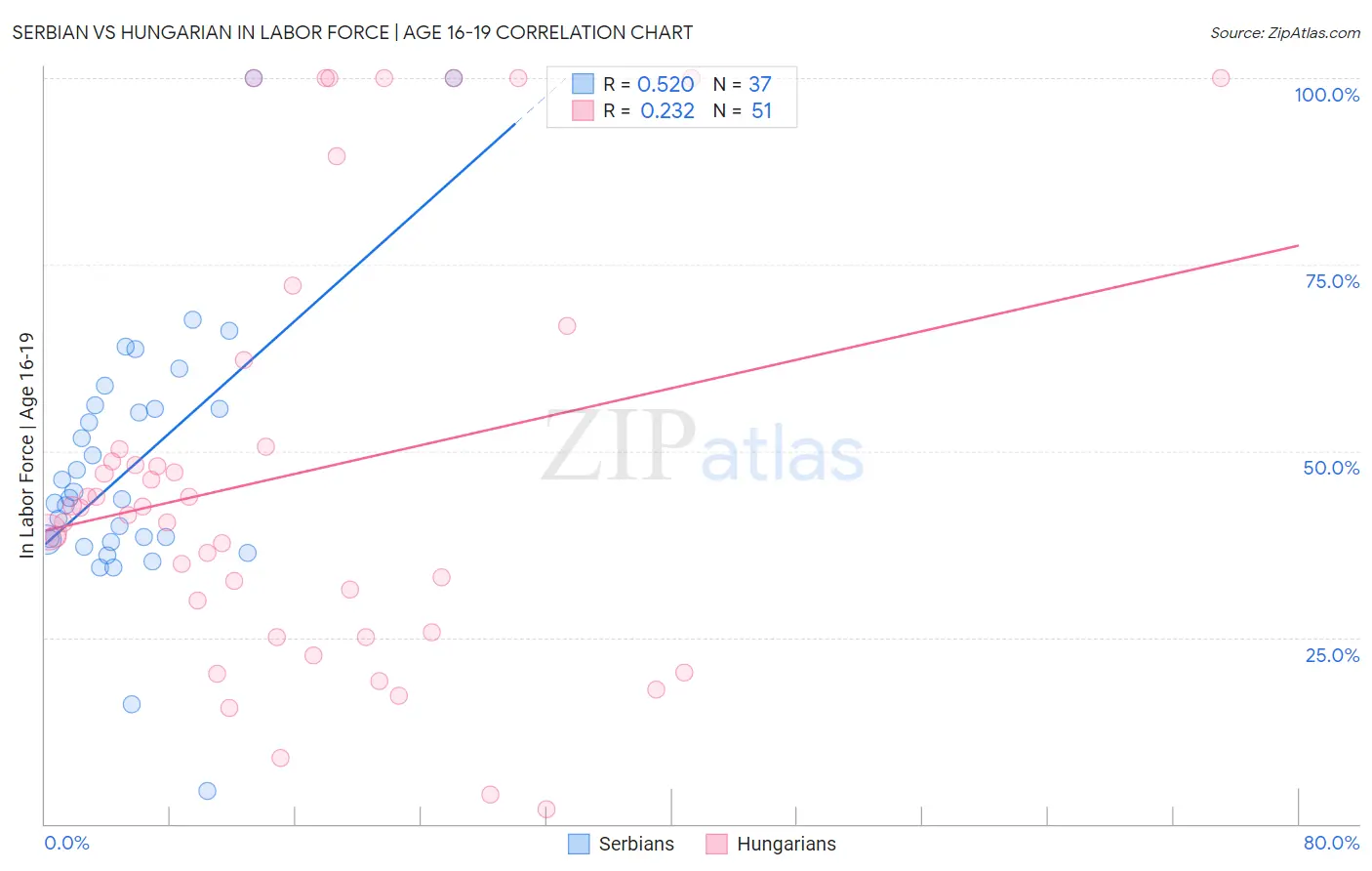 Serbian vs Hungarian In Labor Force | Age 16-19