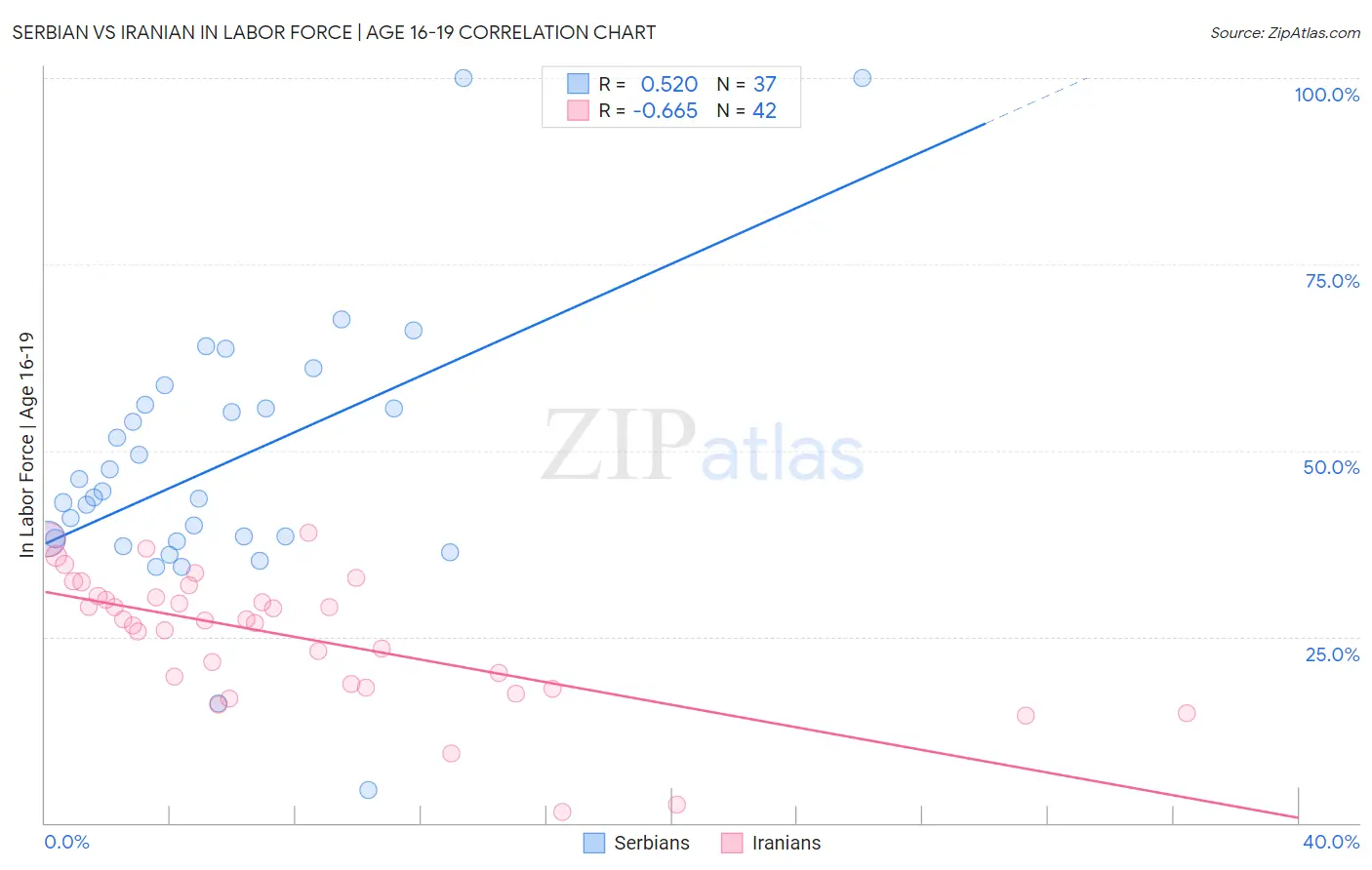 Serbian vs Iranian In Labor Force | Age 16-19