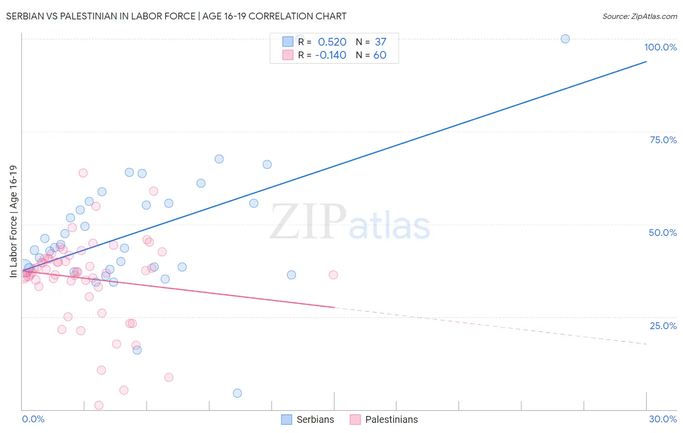 Serbian vs Palestinian In Labor Force | Age 16-19