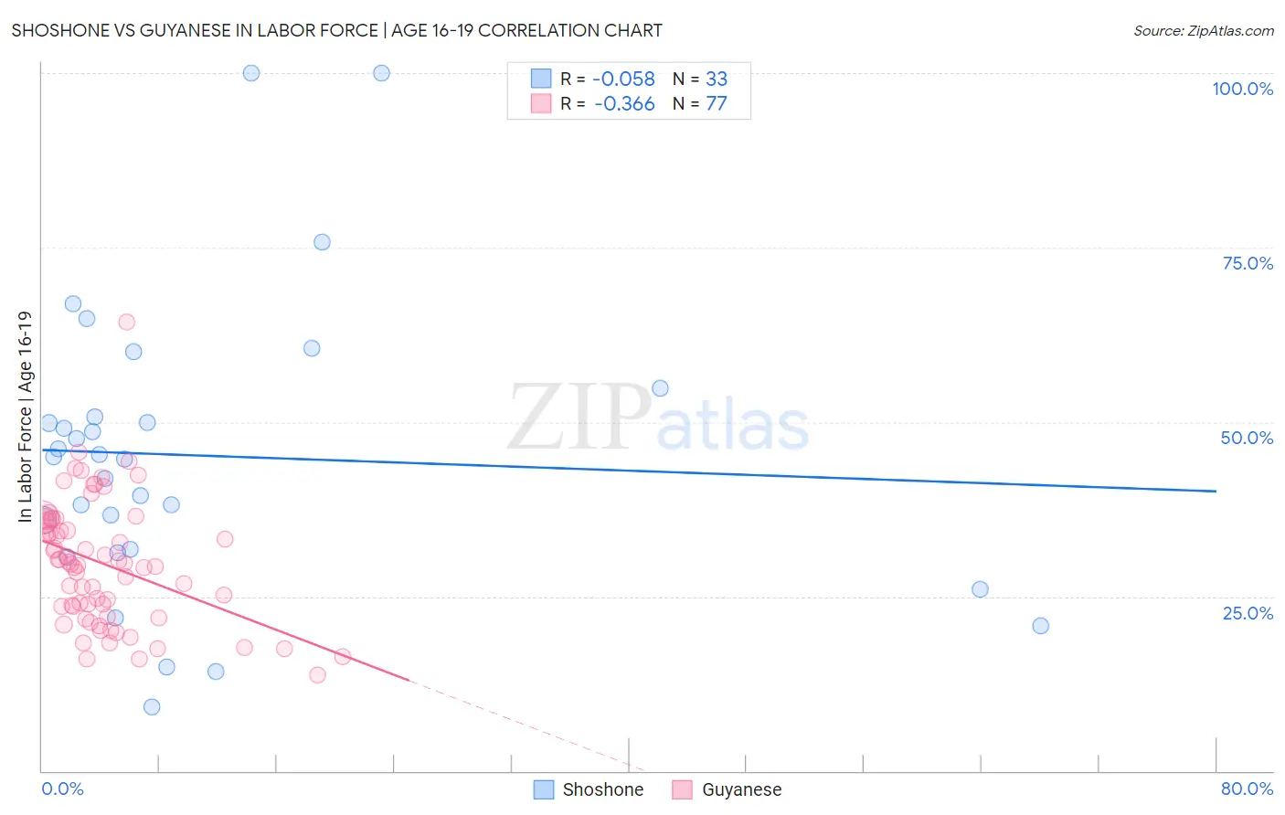 Shoshone vs Guyanese In Labor Force | Age 16-19