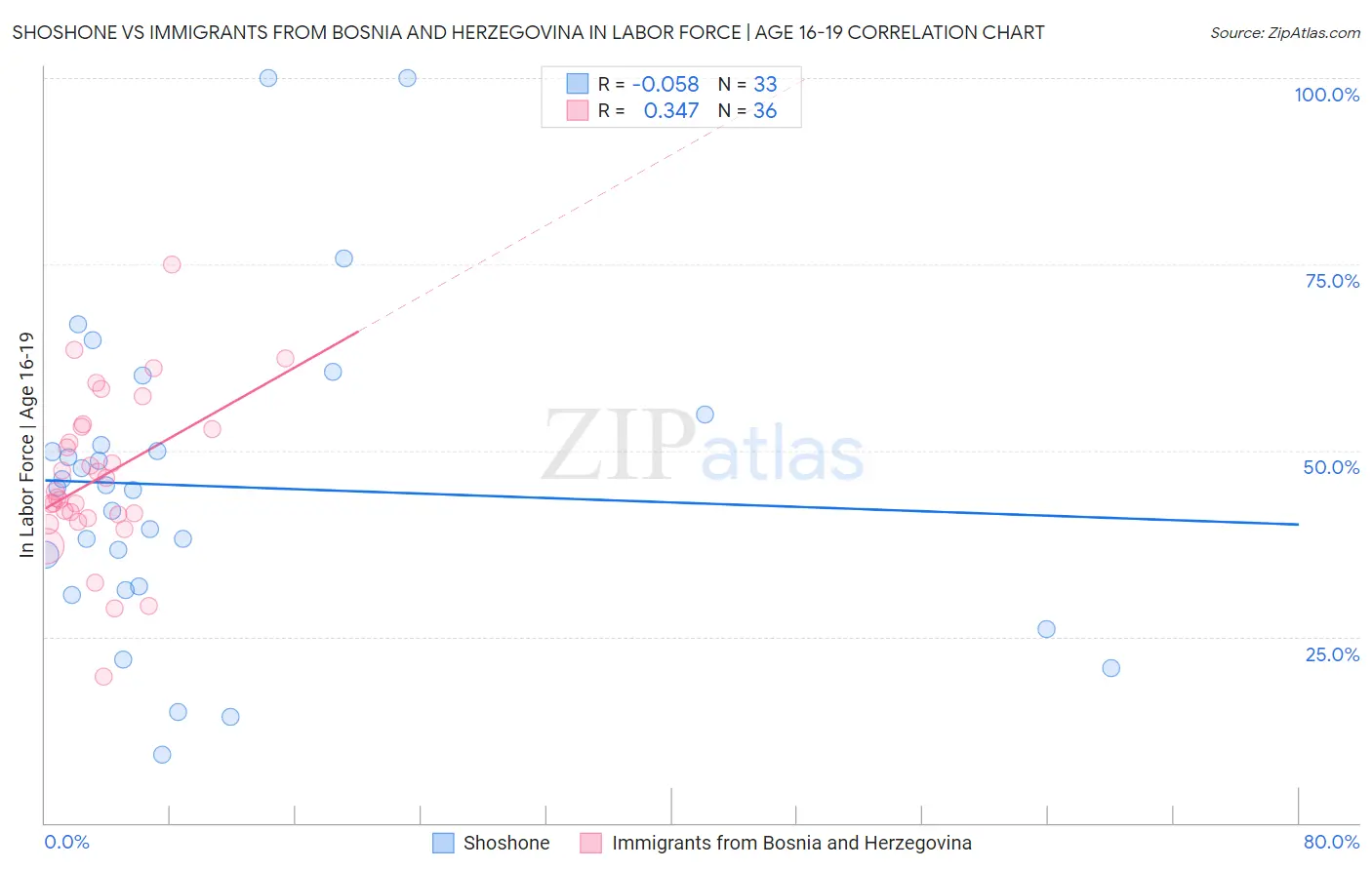 Shoshone vs Immigrants from Bosnia and Herzegovina In Labor Force | Age 16-19