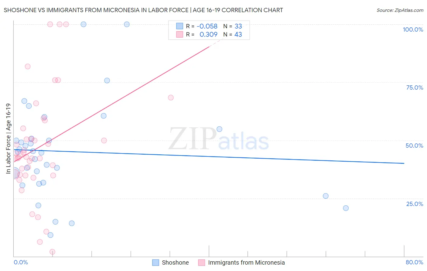 Shoshone vs Immigrants from Micronesia In Labor Force | Age 16-19