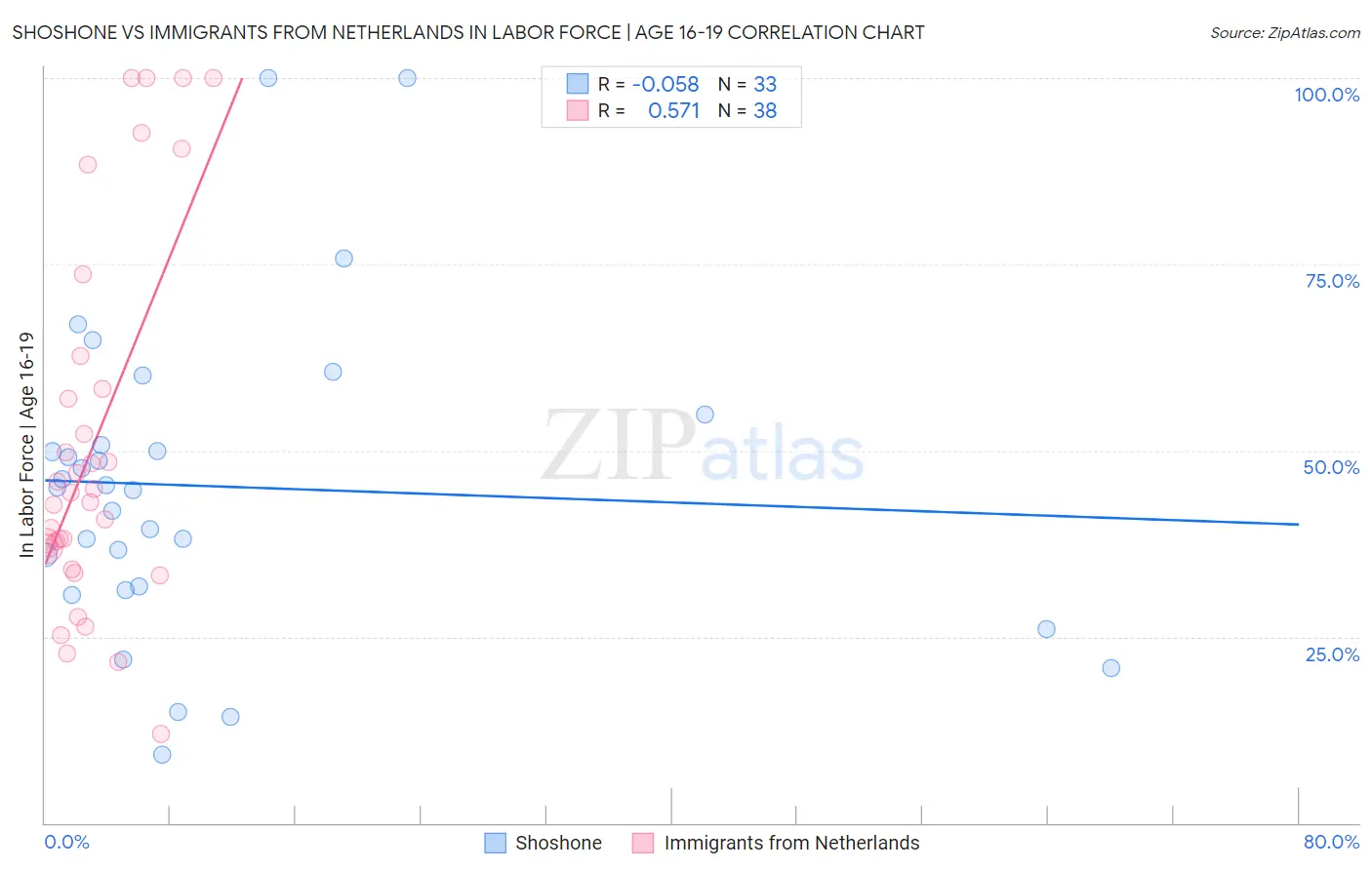 Shoshone vs Immigrants from Netherlands In Labor Force | Age 16-19
