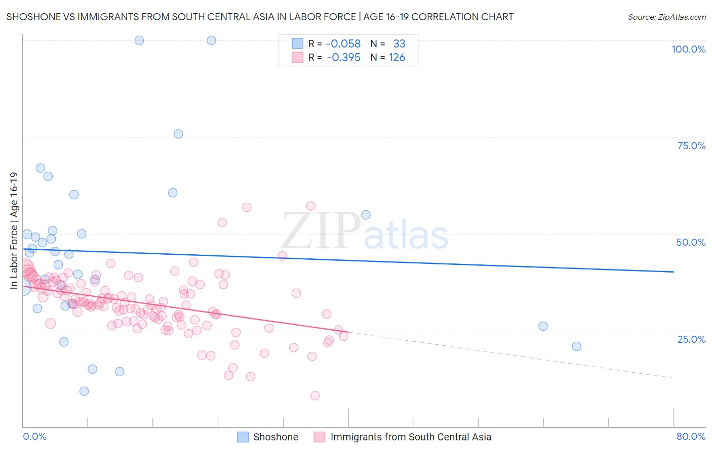 Shoshone vs Immigrants from South Central Asia In Labor Force | Age 16-19