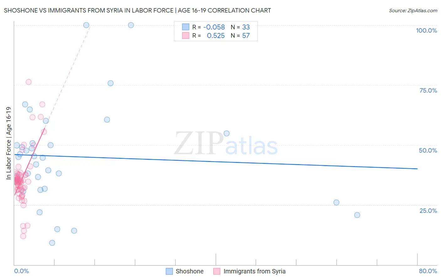 Shoshone vs Immigrants from Syria In Labor Force | Age 16-19