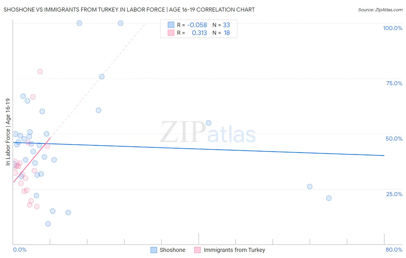 Shoshone vs Immigrants from Turkey In Labor Force | Age 16-19