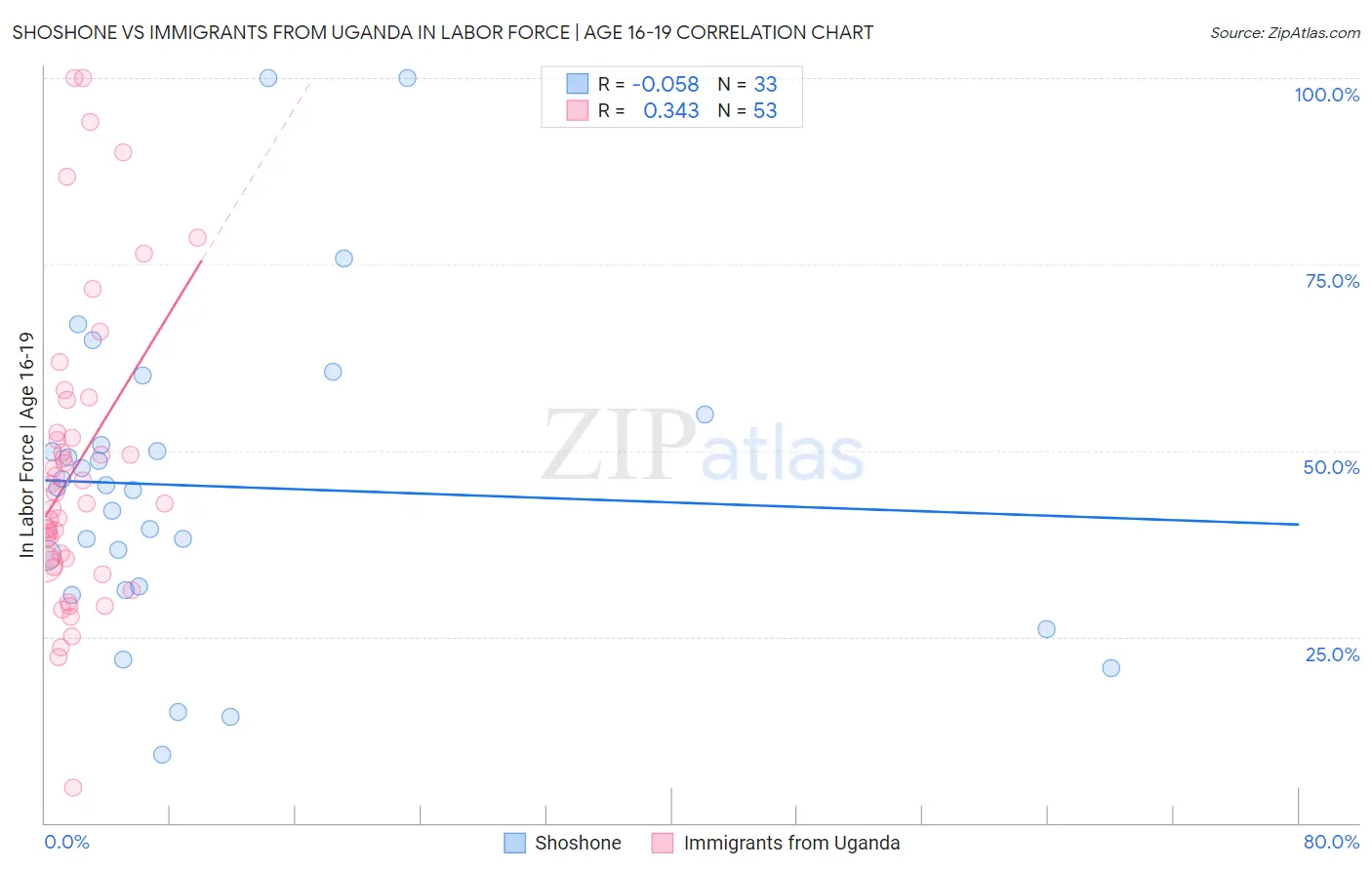 Shoshone vs Immigrants from Uganda In Labor Force | Age 16-19