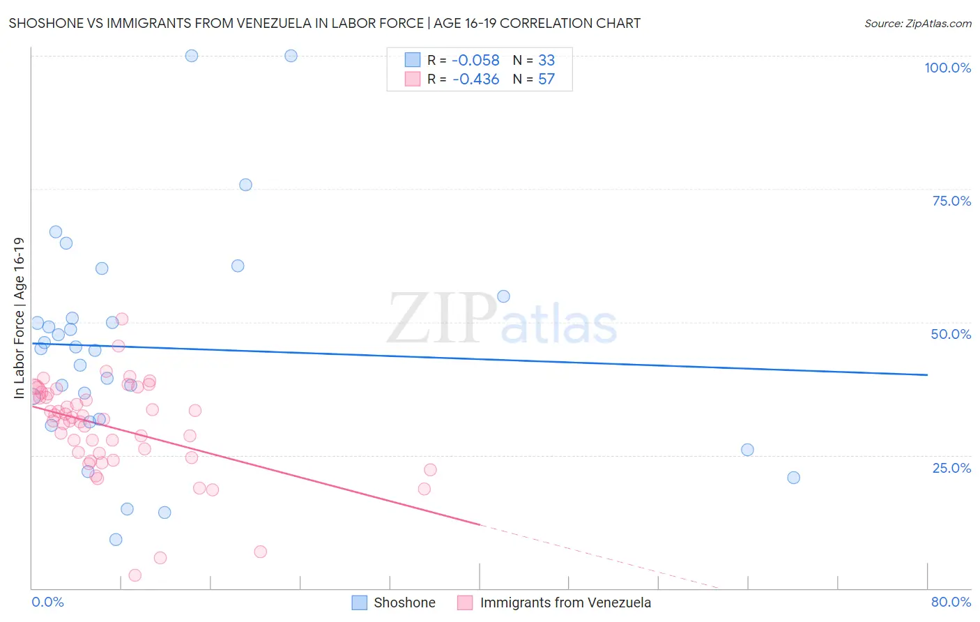 Shoshone vs Immigrants from Venezuela In Labor Force | Age 16-19