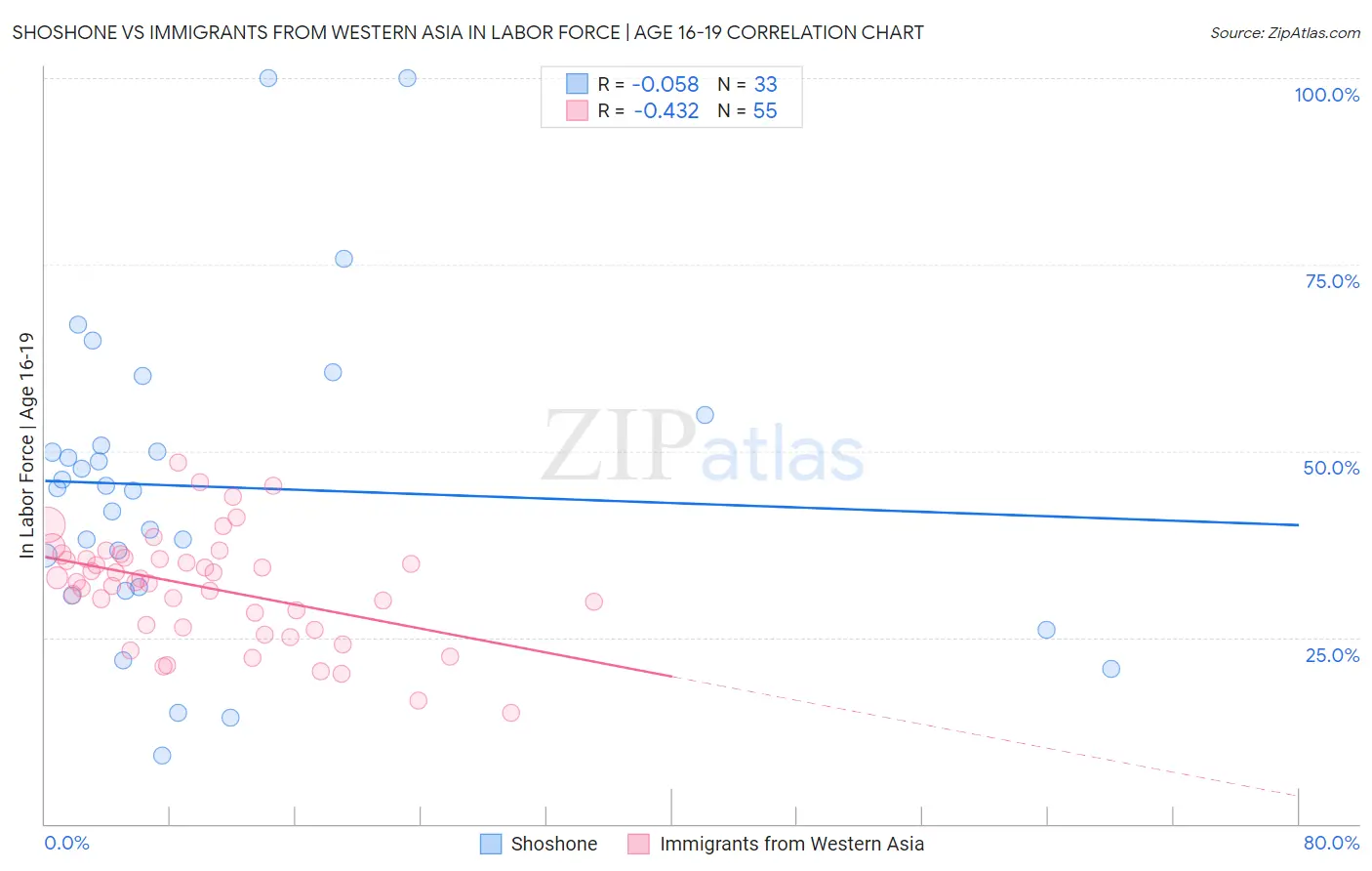 Shoshone vs Immigrants from Western Asia In Labor Force | Age 16-19