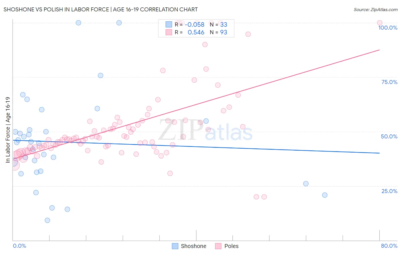 Shoshone vs Polish In Labor Force | Age 16-19