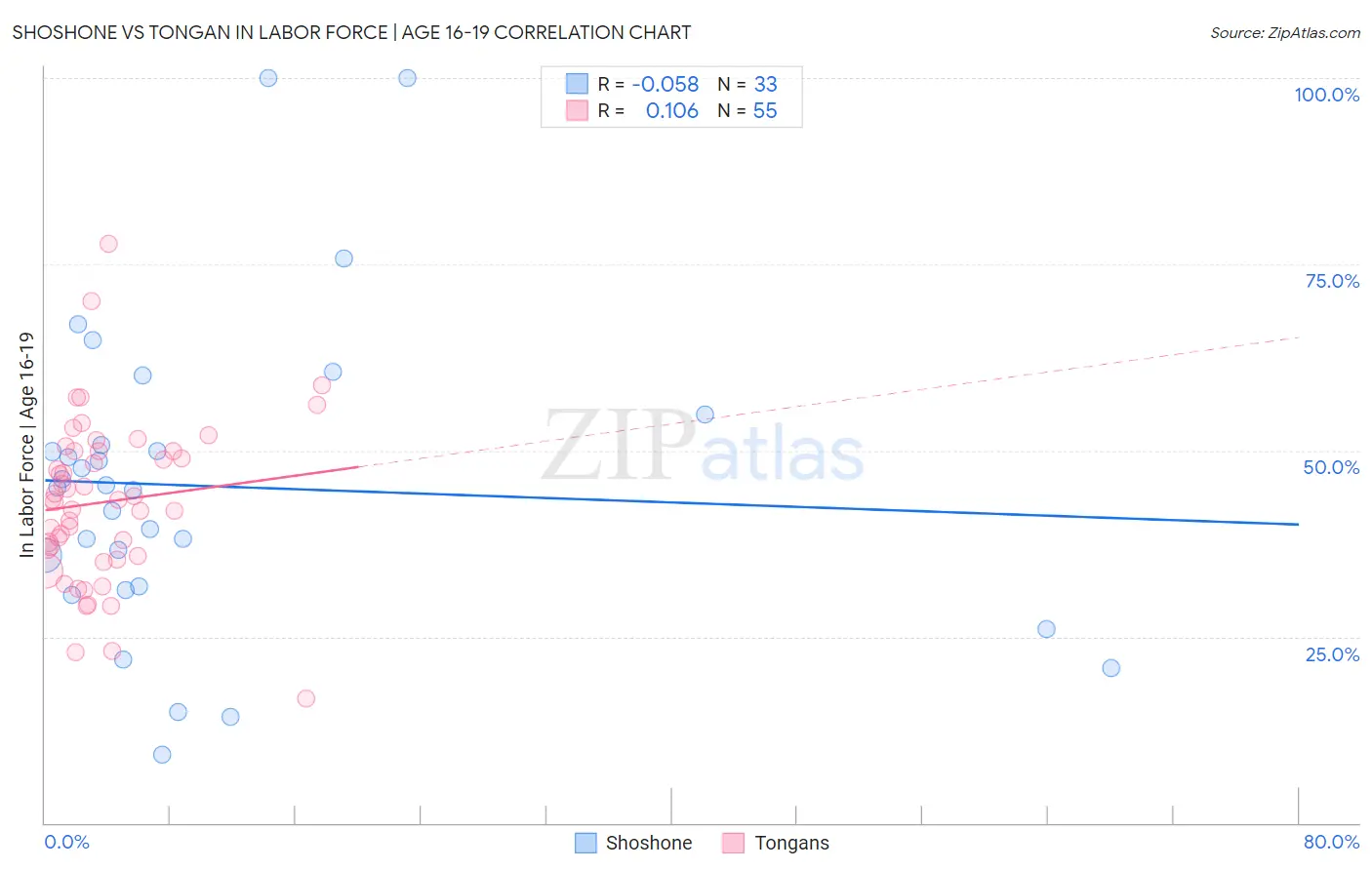 Shoshone vs Tongan In Labor Force | Age 16-19