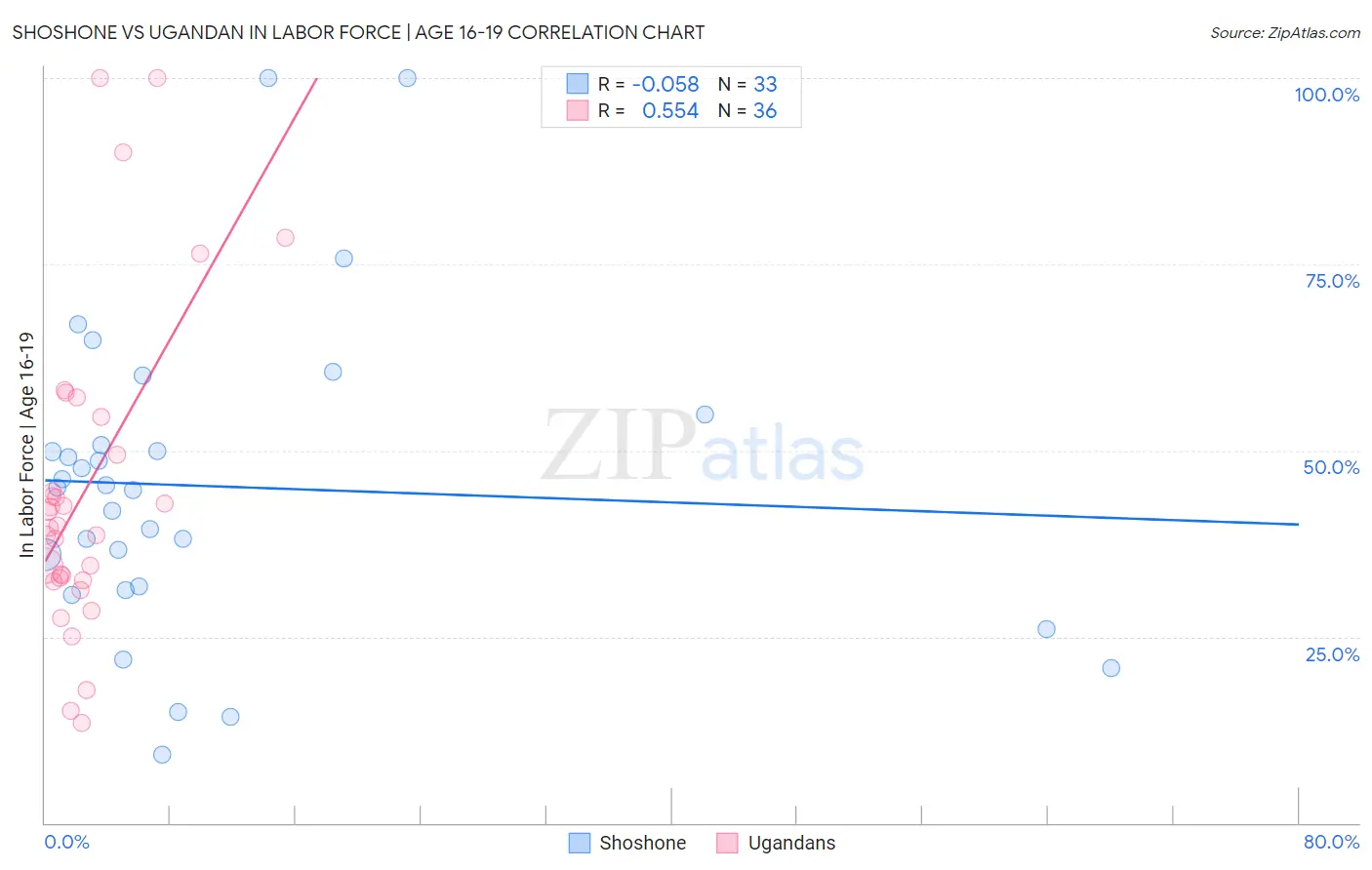 Shoshone vs Ugandan In Labor Force | Age 16-19