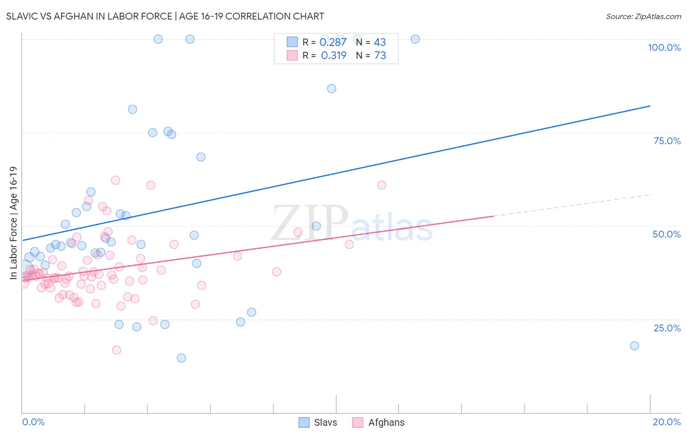 Slavic vs Afghan In Labor Force | Age 16-19