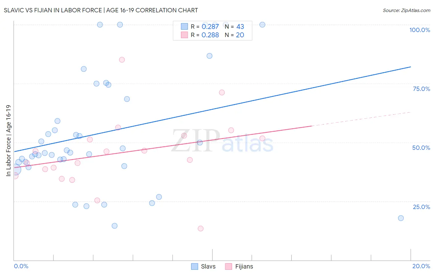 Slavic vs Fijian In Labor Force | Age 16-19