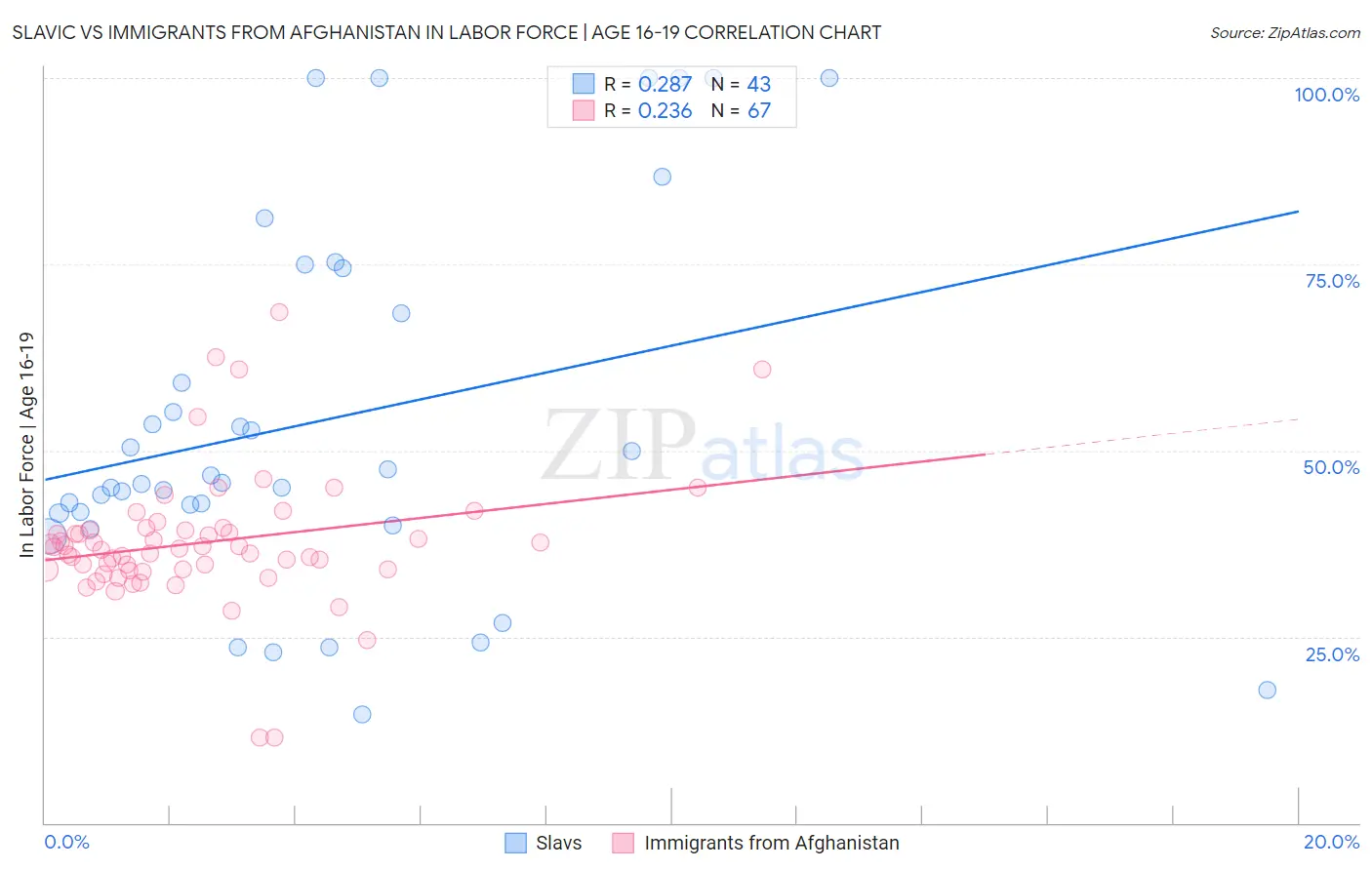 Slavic vs Immigrants from Afghanistan In Labor Force | Age 16-19