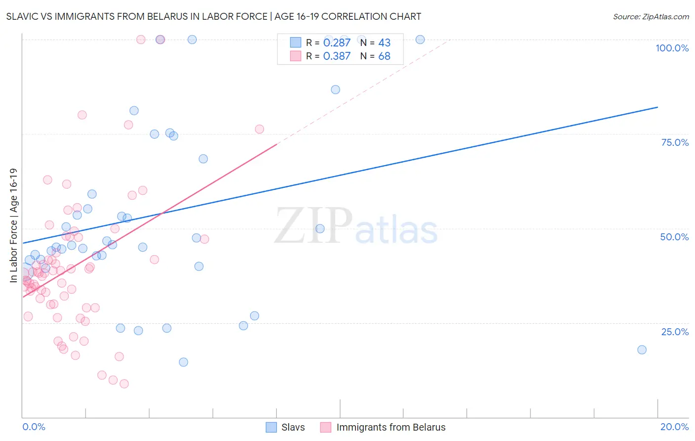 Slavic vs Immigrants from Belarus In Labor Force | Age 16-19