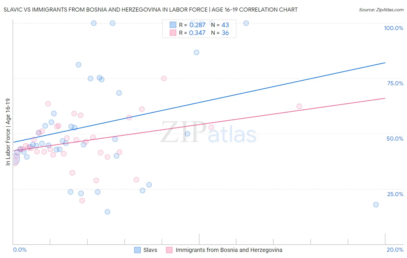 Slavic vs Immigrants from Bosnia and Herzegovina In Labor Force | Age 16-19