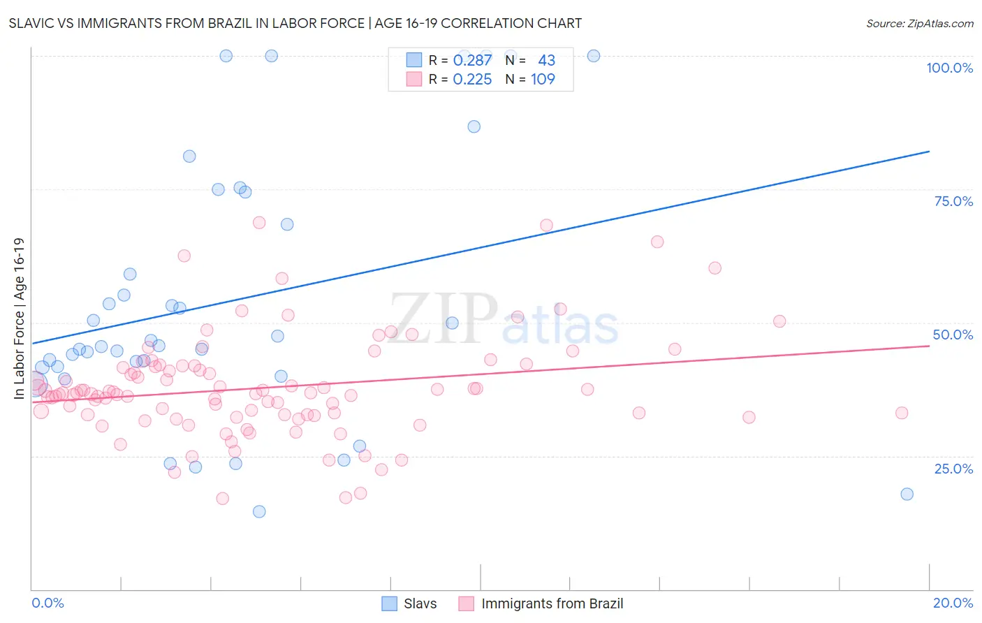 Slavic vs Immigrants from Brazil In Labor Force | Age 16-19