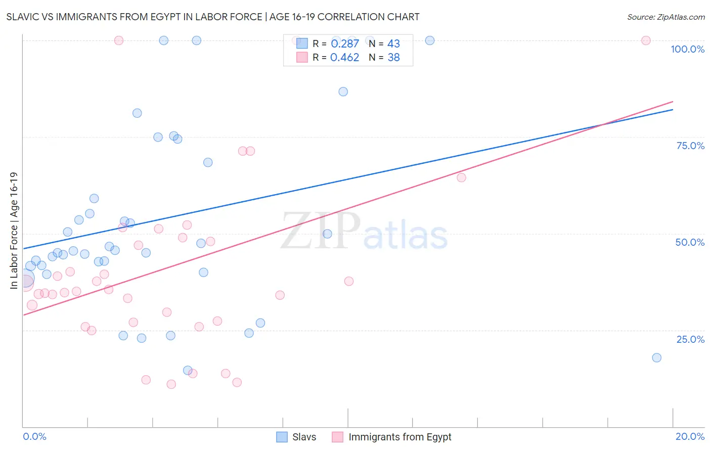 Slavic vs Immigrants from Egypt In Labor Force | Age 16-19