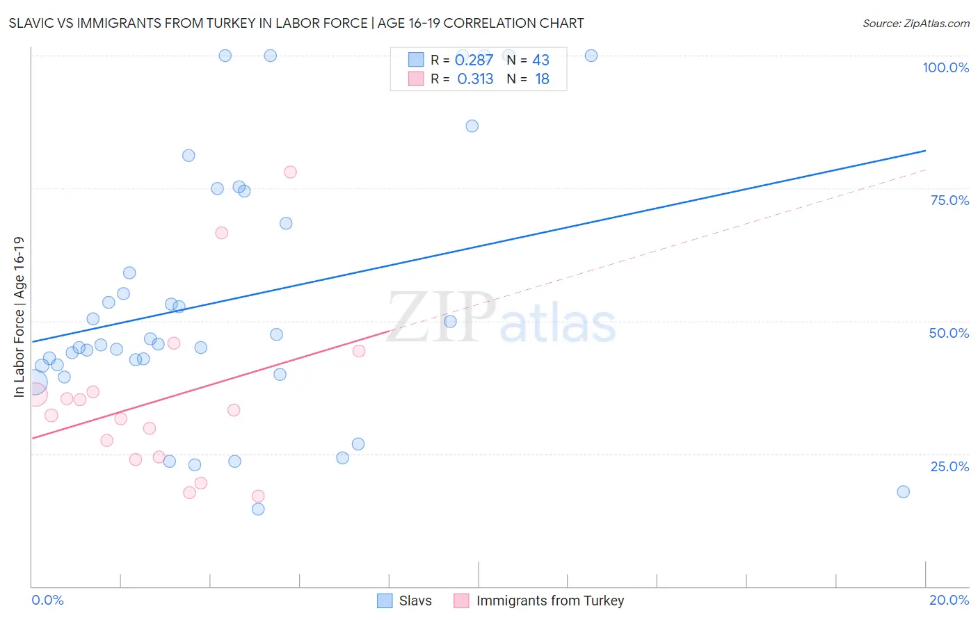 Slavic vs Immigrants from Turkey In Labor Force | Age 16-19