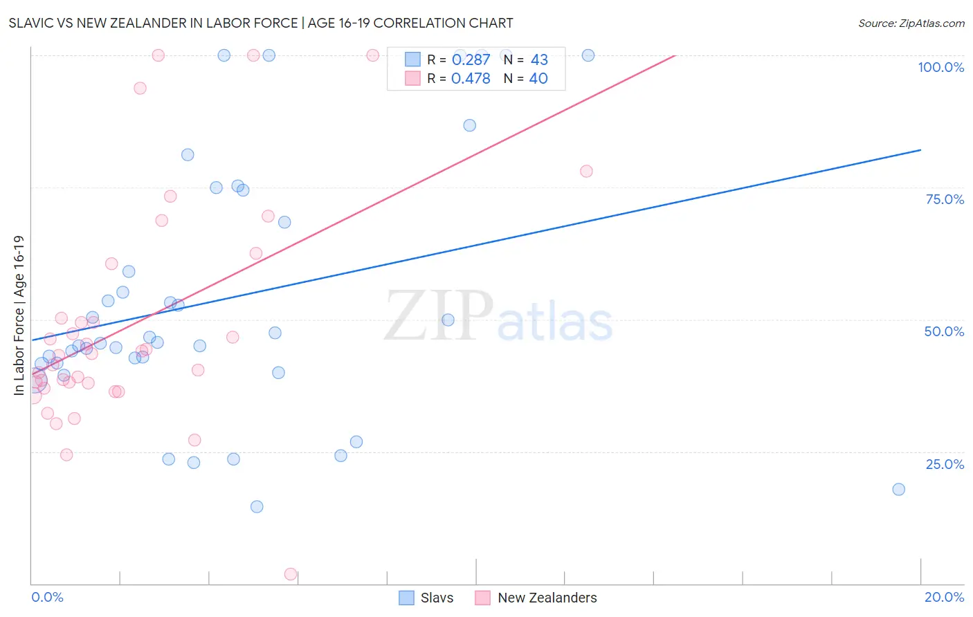 Slavic vs New Zealander In Labor Force | Age 16-19