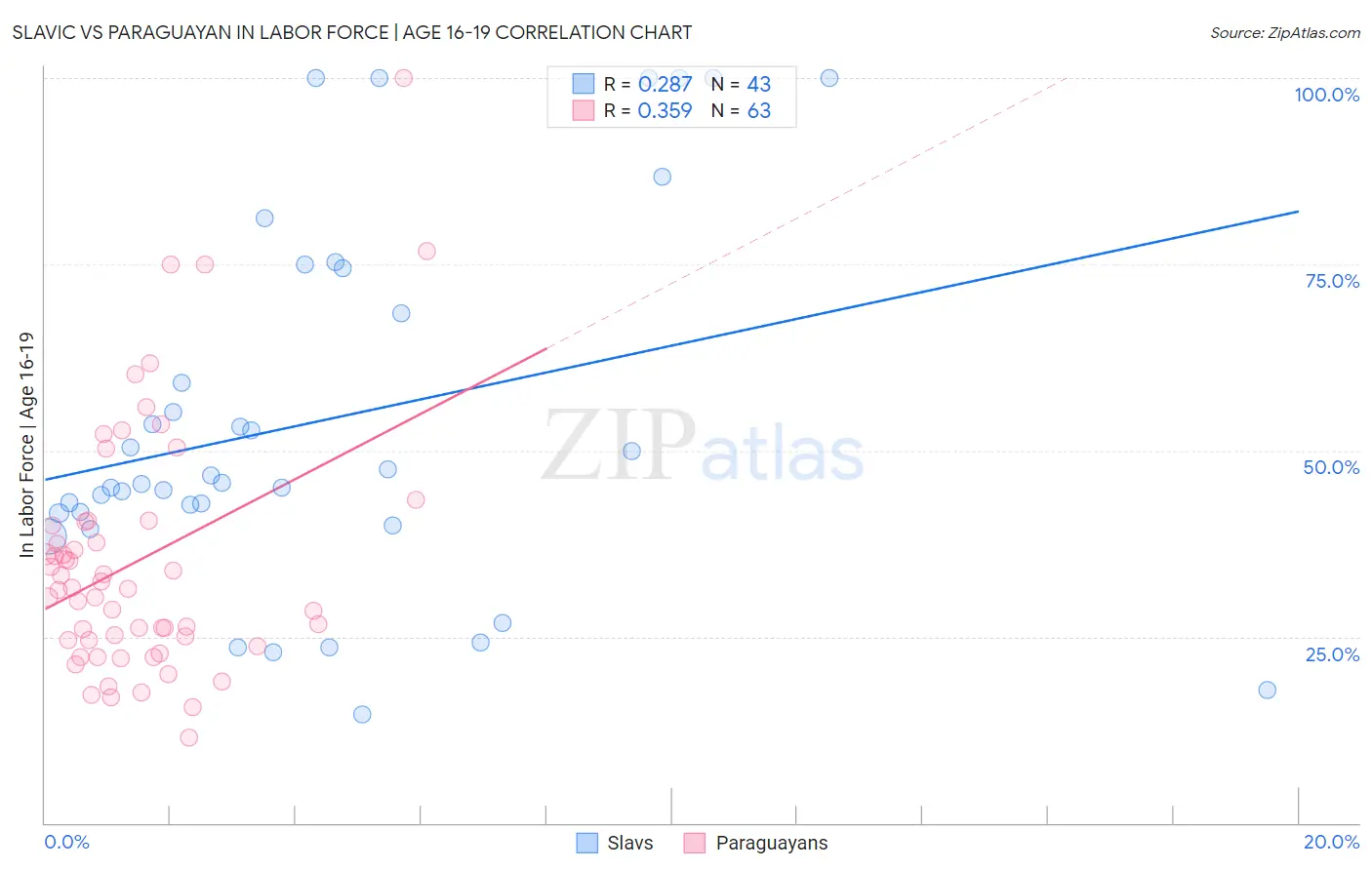 Slavic vs Paraguayan In Labor Force | Age 16-19