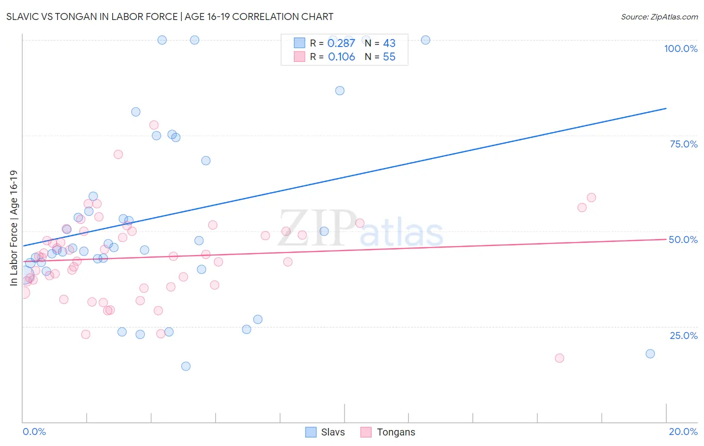 Slavic vs Tongan In Labor Force | Age 16-19