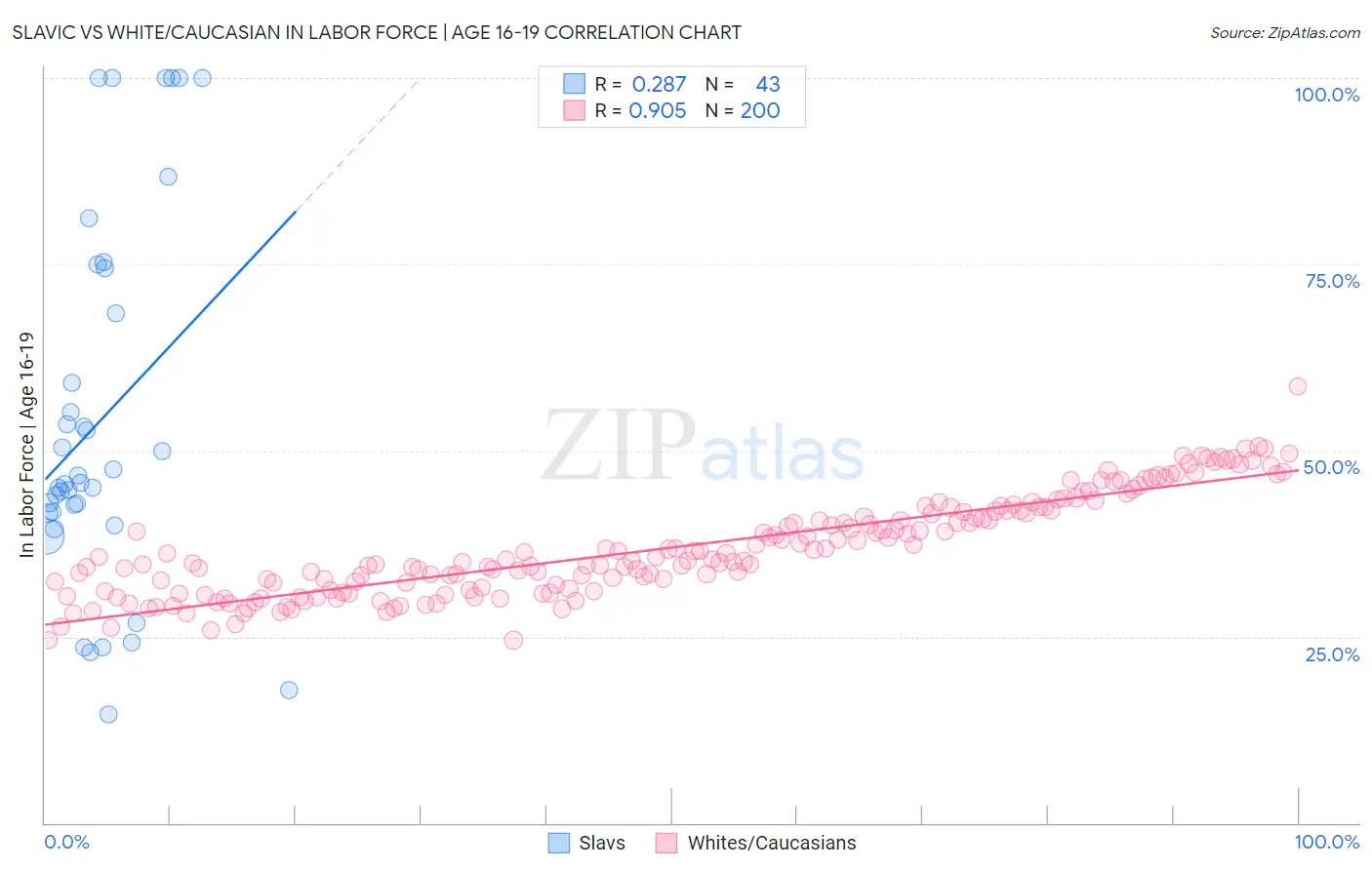 Slavic vs White/Caucasian In Labor Force | Age 16-19