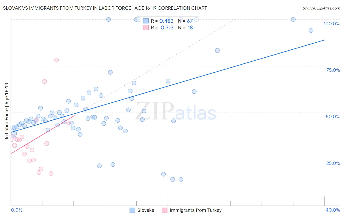 Slovak vs Immigrants from Turkey In Labor Force | Age 16-19