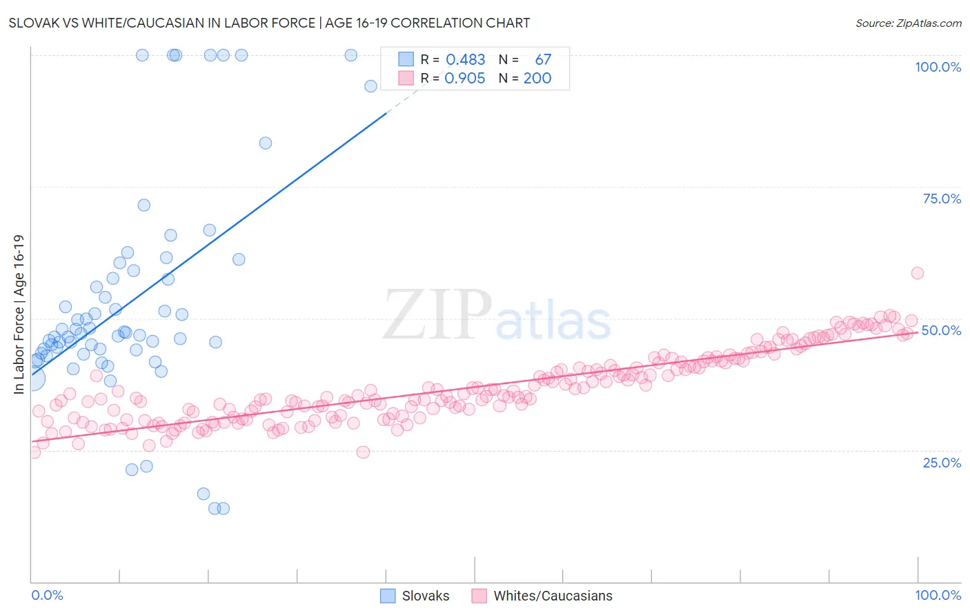 Slovak vs White/Caucasian In Labor Force | Age 16-19