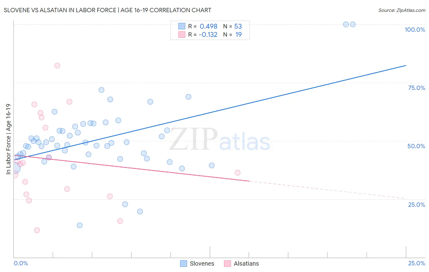 Slovene vs Alsatian In Labor Force | Age 16-19