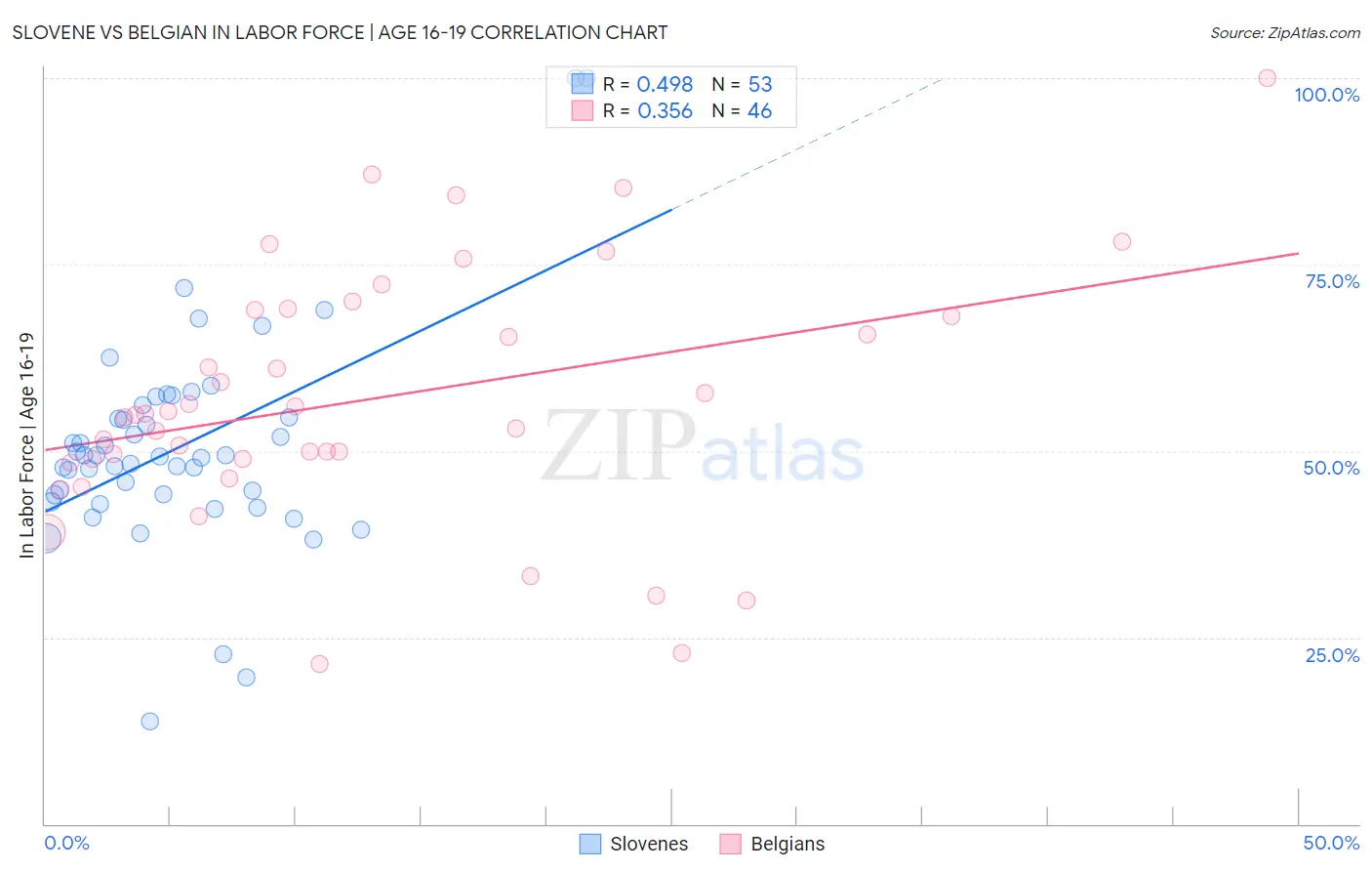 Slovene vs Belgian In Labor Force | Age 16-19