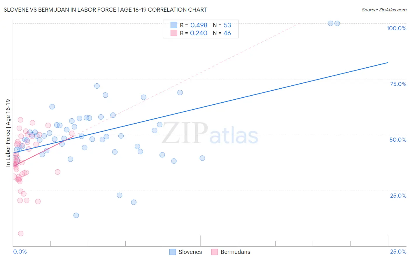Slovene vs Bermudan In Labor Force | Age 16-19