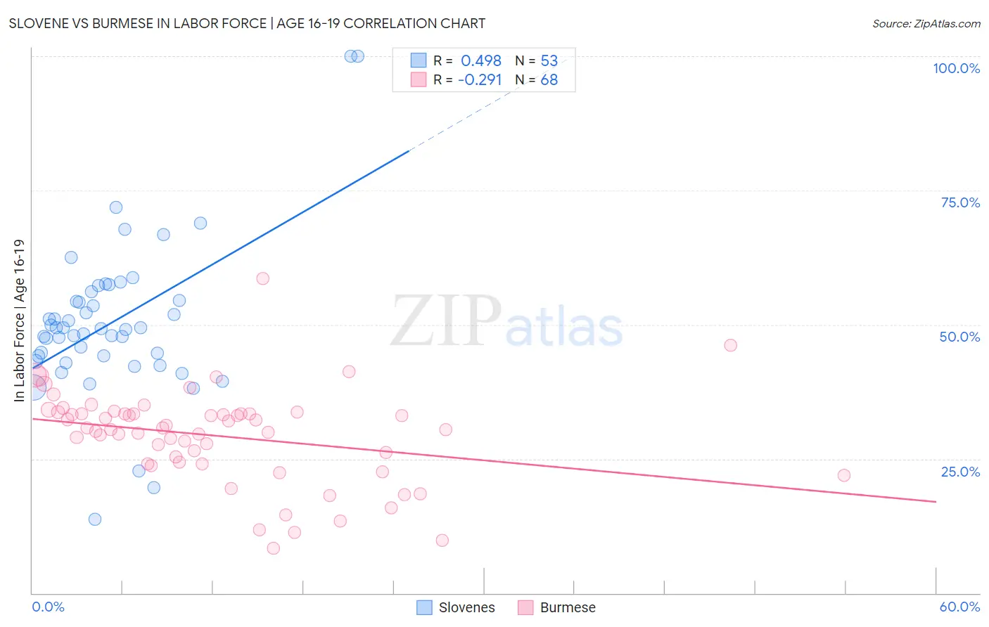 Slovene vs Burmese In Labor Force | Age 16-19