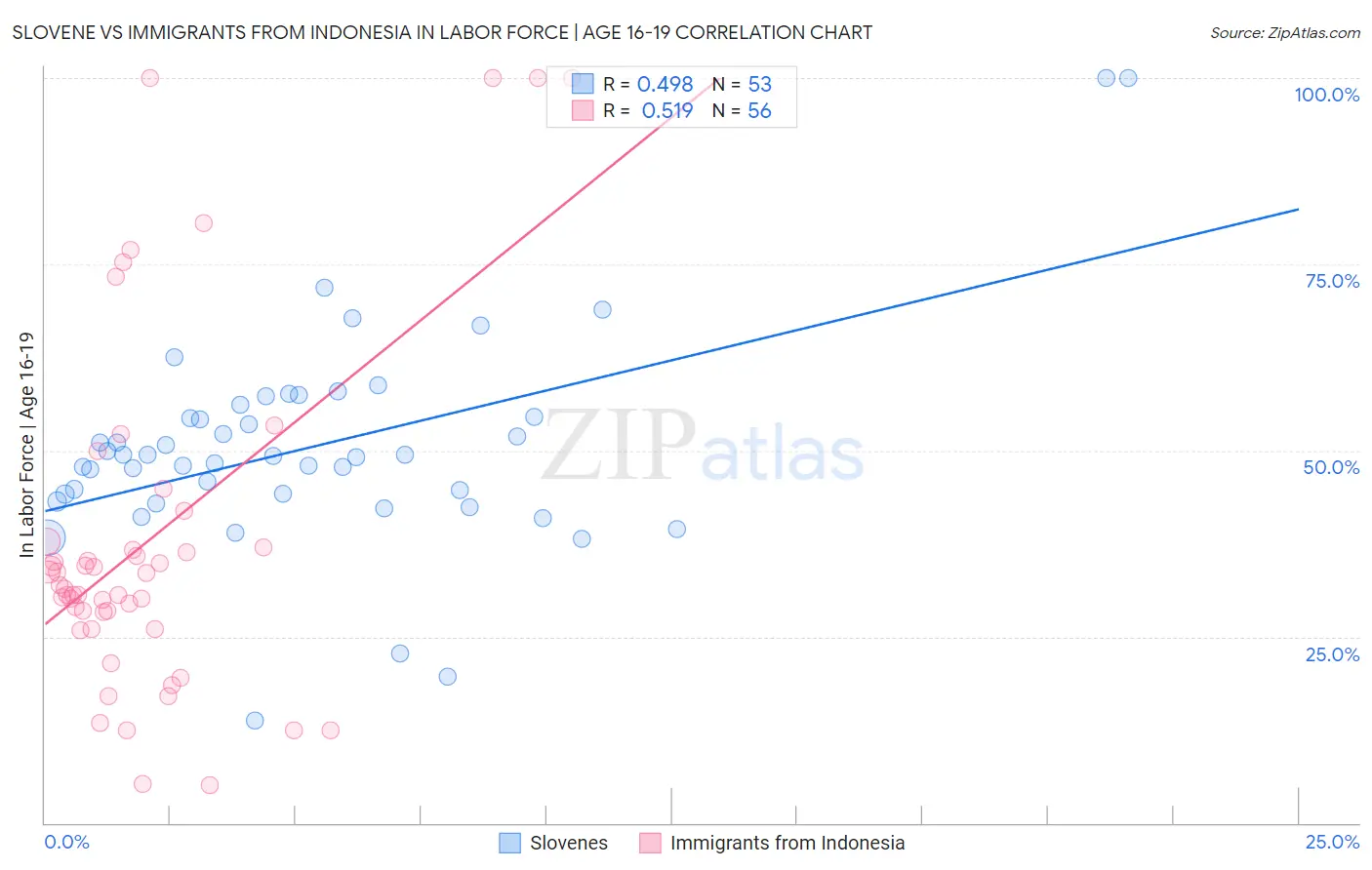 Slovene vs Immigrants from Indonesia In Labor Force | Age 16-19