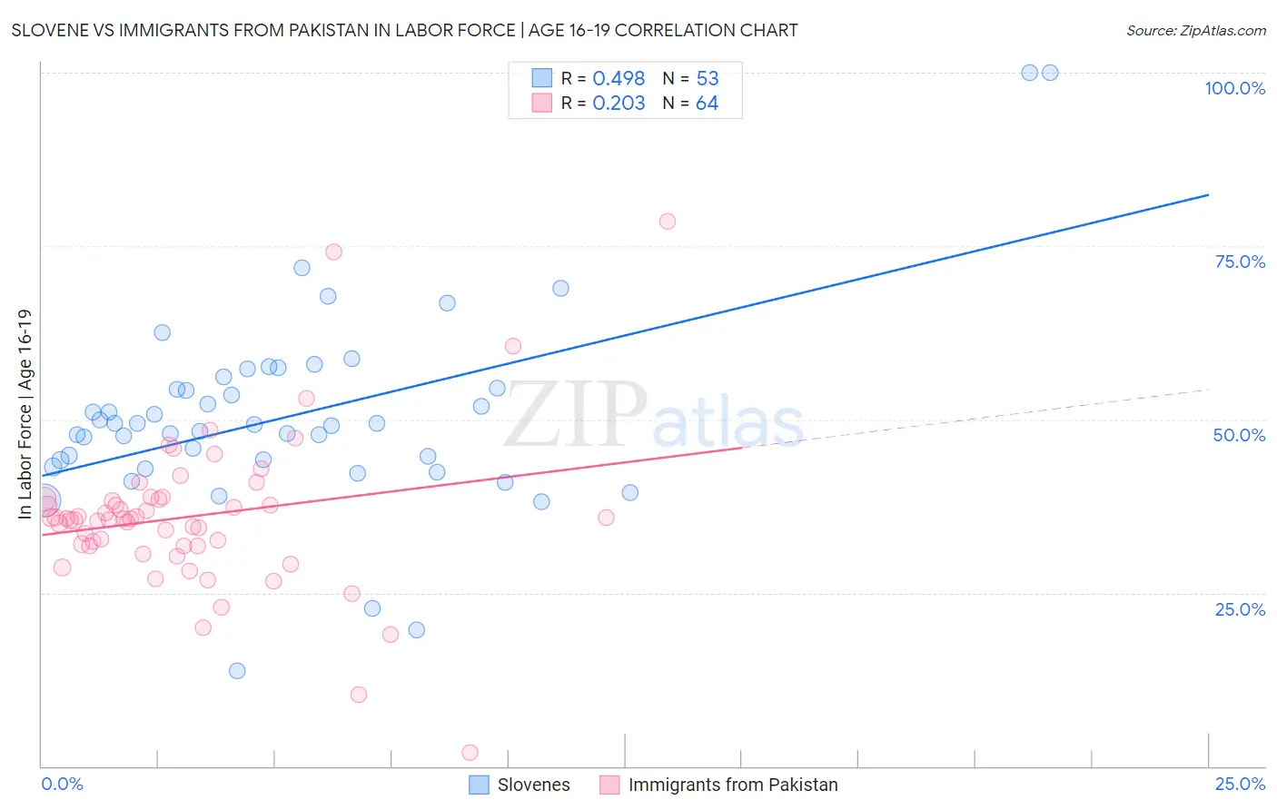 Slovene vs Immigrants from Pakistan In Labor Force | Age 16-19