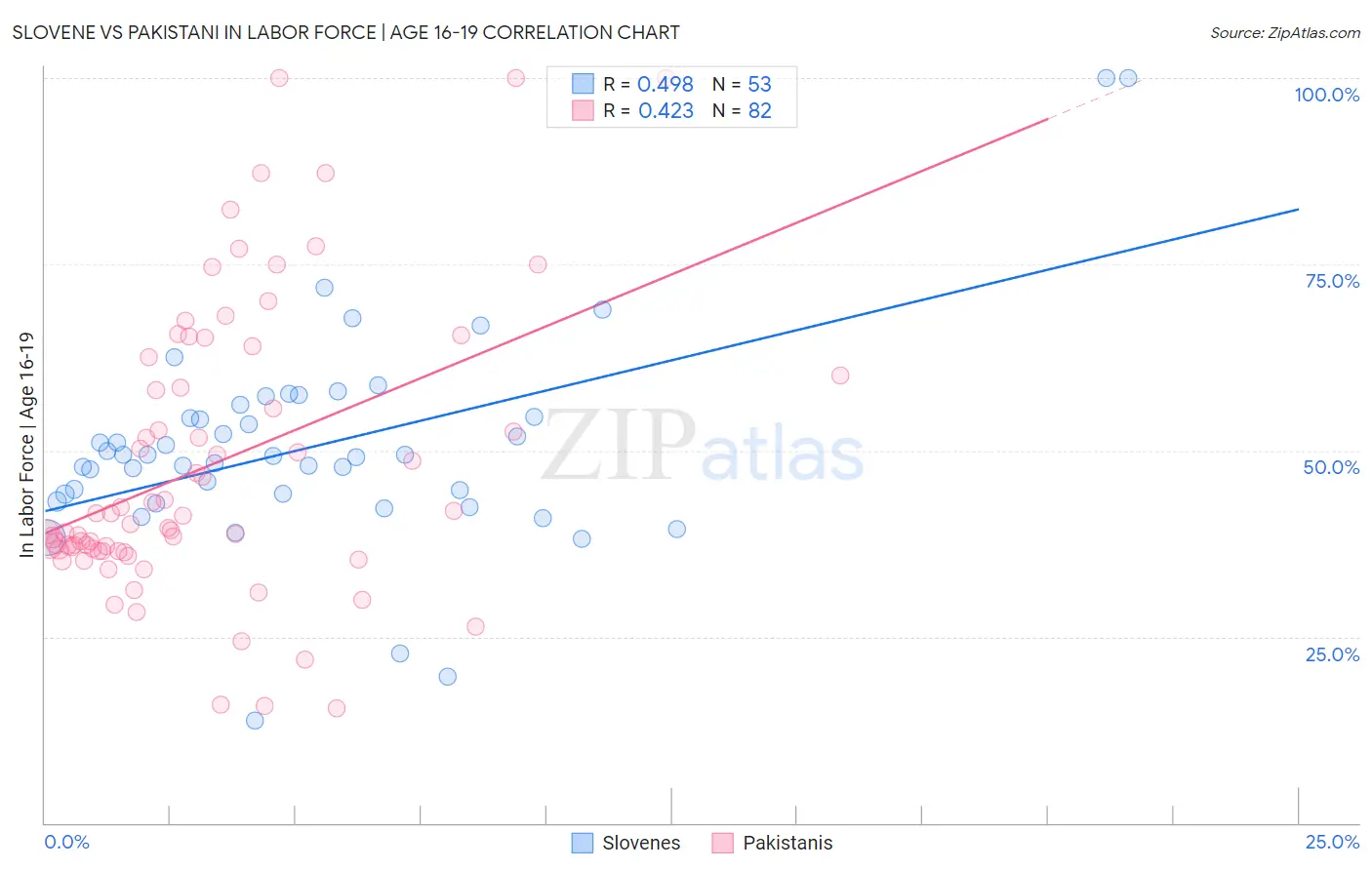 Slovene vs Pakistani In Labor Force | Age 16-19