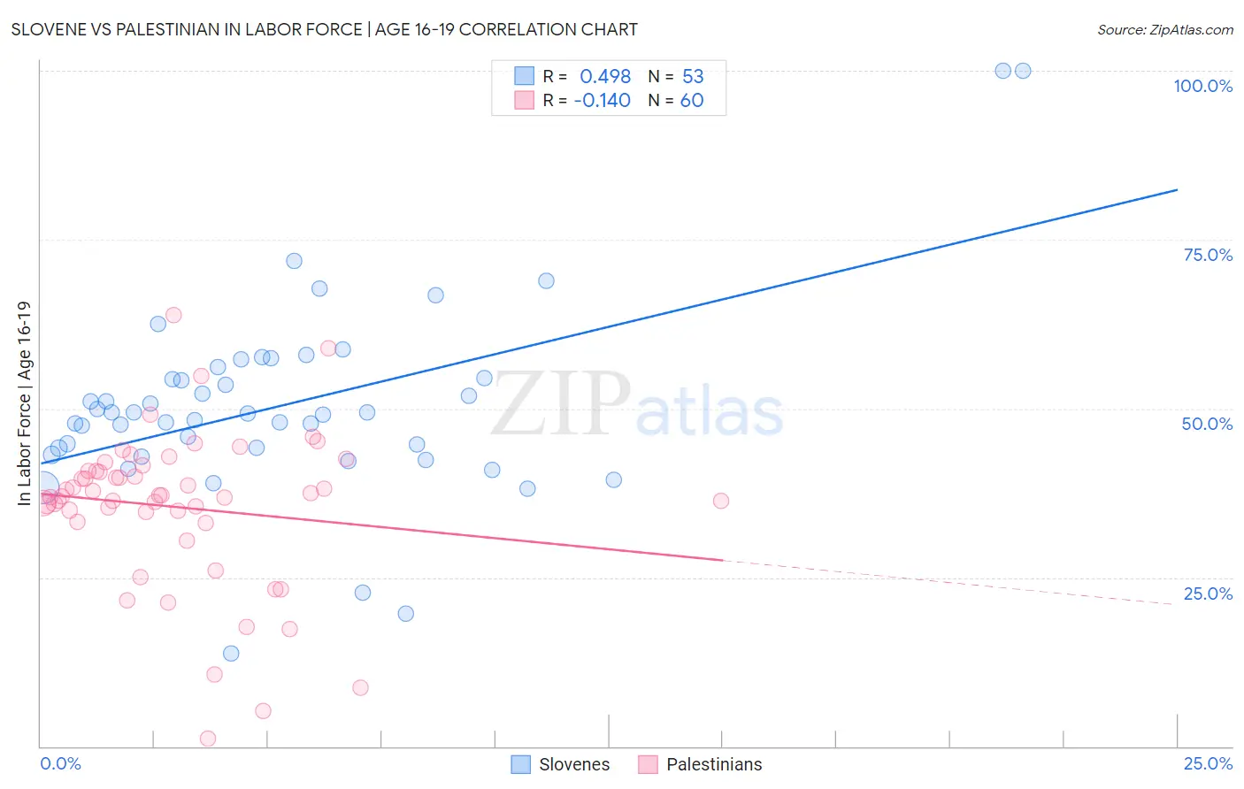 Slovene vs Palestinian In Labor Force | Age 16-19