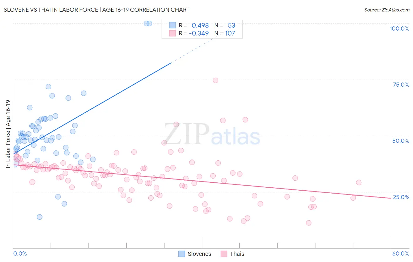 Slovene vs Thai In Labor Force | Age 16-19
